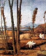 BELLINI, Giovanni Madonna of the Meadow (detail) ixtn china oil painting reproduction